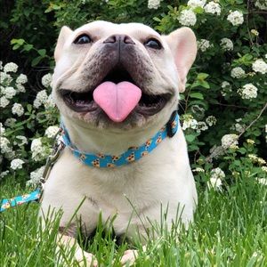 Meet your Posher, Sylwia